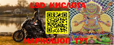 крисы Будённовск