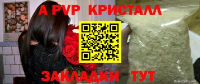 крисы Будённовск