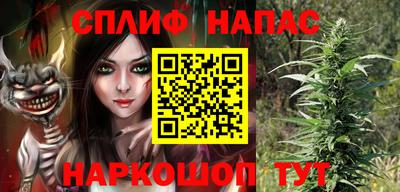крисы Будённовск