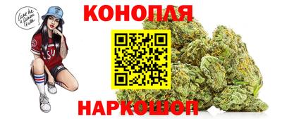 крисы Будённовск