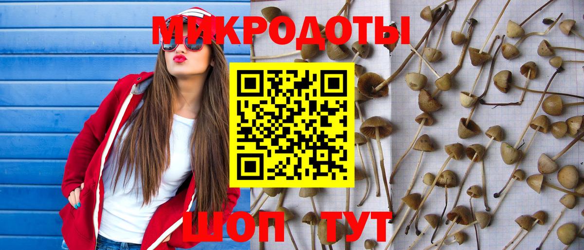 Сорочинск  Псилоцибиновые грибы ЛСД  Вход с VPN 